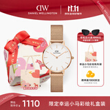 丹尼尔惠灵顿（DanielWellington）DW女士手表轻奢流金简约石英欧美腕表礼盒款生日礼物送女友DW219