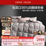 水星家纺羽绒被鹅绒被95%白鹅绒被子冬被冬季加厚被芯双人200×230约5.1斤