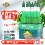 德沃多富贵竹专用植物营养液6支/包园艺绿植花肥料水培有机叶面肥