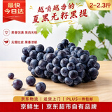 京鲜生 云南夏黑无籽黑提 蓝莓葡萄尝鲜2-2.3斤 高糖低酸 生鲜水果