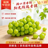 京鲜生 云南阳光玫瑰葡萄【糖度≥16°Bx】青提1-1.3斤 新鲜水果