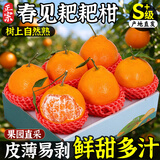 粤迎正宗四川春见耙耙柑【闪送-产地直发】新鲜水果粑粑柑皮薄整箱 5斤亲选果【香甜多汁】净4.5斤