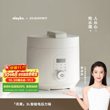 olayks立时电压力锅 高压锅 家用高压电饭锅快煮预约压力锅小型婴儿辅食锅 3L适用2-3人 YBW3001B