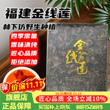 康裕尊  金线莲干品林下种植整株福建南靖土楼 金线莲【精选500g-原装整盒】 500g*1盒