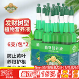 德沃多发财树专用植物营养液12支*35ML盆栽养花肥料水培有机叶面肥