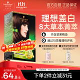 施华蔻（Schwarzkopf）怡然精油染发霜568幽兰茶棕 染发膏男女盖白发精油呵护
