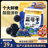 三只松鼠每日蓝莓干500g 蜜饯果干酸甜休闲零食下午茶孕妇儿童健康零食