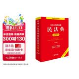 中华人民共和国民法典注释本（第四版 根据民法典婚姻家庭编司法解释（二）全新修订）