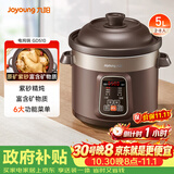 九阳（Joyoung）电炖锅电炖盅5L大容量紫砂预约电砂锅 多功能锅 智能定时精炖煮粥煲汤锅DG50Z-GD510