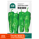 北蔬 薄皮辣椒种子种苗大果微辣四季蔬菜种籽 北蔬薄皮皱椒种子100粒