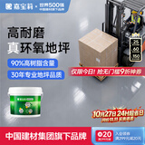 嘉宝莉（CARPOLY）水性环氧地坪漆水泥地面漆室内外自流平防滑耐磨地板漆中灰5kg