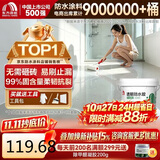 雨虹防水免砸砖防水涂料 透明防水胶 卫生间防水涂料补漏堵漏胶900g