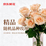 京东鲜花【精品】玫瑰10枝随机品种（45cm+）鲜花束送女友自营源头直发