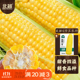 北蔬 水果玉米种子种苗超甜可生食玉米种籽 美甜六号水果玉米种子40g