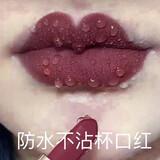 兰奕不沾杯不掉色的保湿持久防水口红持久囗 红大牌正品豆沙色保湿 503车厘子色