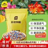 史丹利彩色陶粒垫底养花专用水培花盆种花颗粒铺面园艺土陶土粒球3斤