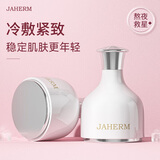 佳禾美（JIAHEMEI） 小冰锤冷敷美容仪脸部冰敷美容器细腻毛孔家用美容院按摩美眼仪皮肤管理冰敷消肿导入仪 小冰锤冷敷仪1个
