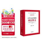 中华人民共和国刑法释义