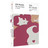 爱的四十条法则（艾丽芙沙法克作品） 中信出版社 小说