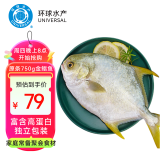 环球水产 南海金鲳鱼 750g 特大1条装 BAP认证  鱼类 生鲜海鲜