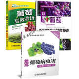 葡萄促早熟栽培配套技术+葡萄优质栽培+葡萄病虫害诊断与防治 大棚葡萄种植技术指导书