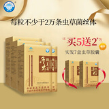 桂仁冬虫夏草胶囊80粒/瓶 增强免疫力 中老年滋补营养礼品 送礼送长辈 五盒装（实发七盒）