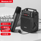 纽曼MS19小蜜蜂无线扩音器教师专用喇叭导游腰挂蓝牙音箱迷你便携式促销讲课教学喊话器大音量双麦版