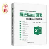 精进Excel图表：成为Excel图表高手（全彩）北大出版轻松学会图表