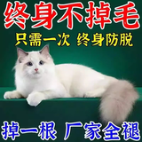 猫掉毛严重吃什么维生素防掉毛美毛深海鱼油片猫用宠物防掉毛神器 买3送2【5瓶装】