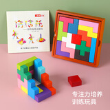 三格田（SANGTY）儿童伤脑筋智力拼图十三块俄罗斯方块积木鲁班锁逻辑思维游戏木制 2957伤脑筋十三块（双盒）说明