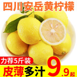 甜果源 四川安岳黄柠檬 单果90g起 香水柠檬无籽柠檬 新鲜水果 5斤【家庭装】