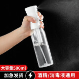家の物语（KATEI STORY）日本消毒专用纳米喷雾瓶酒精喷壶雾化高压喷水壶浇花美发空小瓶子 大容量 2代透明 500mL