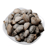 鲜京采【净化无沙贝】鲜活大花蛤500g/盒