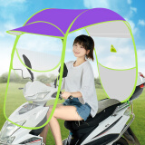电动电瓶车雨棚蓬篷加厚新款自行车防晒挡风罩电动摩托车遮阳雨伞 【银胶款】-紫色（有镜拍）