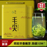 俊礼 2023新茶毛尖茶叶绿茶新茶明前特级嫩芽散装春茶礼盒装罐装250g 毛尖250g