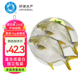 环球水产冷冻金鲳鱼 1kg/2条装 生鲜 鱼类 深海鱼 海鲜水产