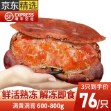 面包蟹生鲜熟冻英国超大即食满黄满膏螃蟹海鲜水产特大母蟹黄金蟹 大号（600g-800g/只） 1只