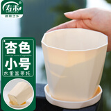 寿禾 花盆塑料加厚树脂园艺花盆绿萝多肉绿植栽种 木里盆小号-杏色
