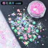 派喜DIY水晶滴胶UV胶圣诞梦幻闪粉填充眼妆亮片饰品材料抖音网红美甲 梦幻闪粉-樱花满开