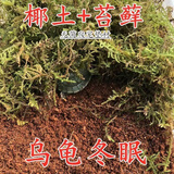 泽驭名宠（ZEYU MINGCHONG）乌龟冬眠用品椰土苔藓草蛭石乌龟保温冬眠箱垫材龟过冬保暖饲养盒 乌龟冬眠苔藓草100克
