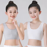 女童发育期文胸9-12岁女童小背心纯棉少女发育期初中小学生岁儿童吊带8-16岁小女孩内衣 白色+灰色 140 S 【体重40-60斤】