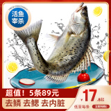 简鲜新鲜活冻三去开背开腹白蕉海鲈鱼生鲜海鱼海鲜水产去鳃去鳞去内脏 海鲈鱼400-500g*5条