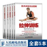 肌肉训练完全图解 拉伸训练+力量与体能训练+核心稳定性训练+功能性训练 终极健身百科全书 运动损伤修复无器械健身教练书籍