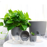 花目蓝 花盆懒人自动吸水半透明 多肉绿萝植物塑料盆器 AS玻璃简约免浇水 兰花发财树盆栽容器 灰色 A709特大/ 宽23.5*高26.5