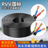 国标RVV三相电线缆2/3芯平方铜包铝护套线电工家用监控电源线防冻 3芯 2.5平方（赠插头插座等） 100米