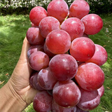 京觅云南妮娜皇后葡萄 3斤高端礼盒 红提生鲜水果新鲜当季 源头直发