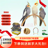 豪蚨虎皮鹦鹉说话小鸟活物观赏鸟宠物牡丹小太阳亲人玄风鹦鹉豪蚨 套餐5：自选玄凤一对+双层别墅