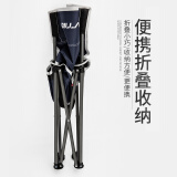 比尔傲威钓鱼椅折叠椅子美术生写生椅露营沙滩椅火车板凳便携马扎小凳子 【新升级加粗加厚】中号（树叶）