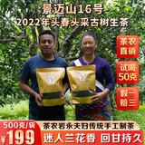 勐栈（MENGZHAN） 2022年云南景迈山16号古树普洱茶生茶散茶 2022年 景迈山16号散茶 * 2袋