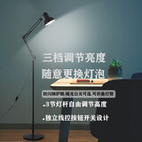 来梦长臂折叠全光谱落地护眼学习LED灯遥控北欧客厅卧室书房立式台灯 黑色+15W白光【三挡调光】